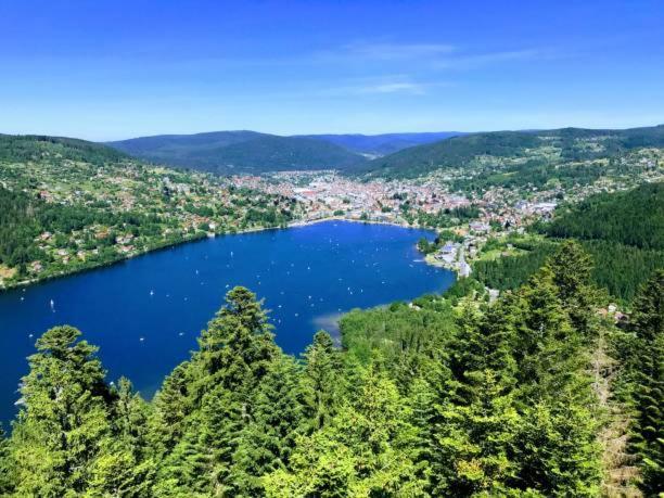 Appartement Les Balcons De La Chalande Le Tholy Gerardmer, Jardin,Balcon, Terrasse, ภายนอก รูปภาพ