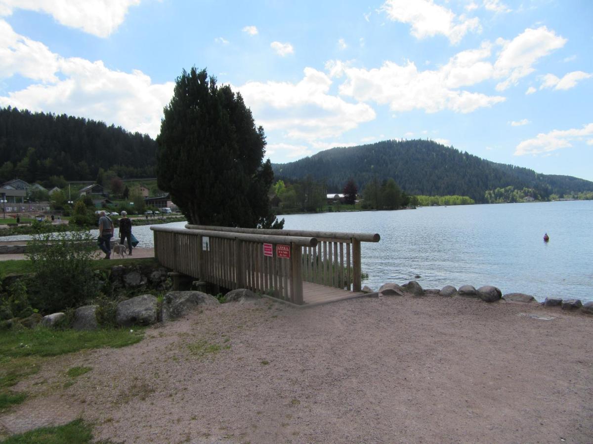 Appartement Les Balcons De La Chalande Le Tholy Gerardmer, Jardin,Balcon, Terrasse, ภายนอก รูปภาพ